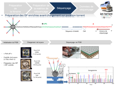 Workflow-sequencage-PGM_Sequençage2.png