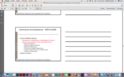 Capture d’écran 2018-04-01 à 20.44.14.png