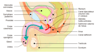 Capture d’écran 2018-04-02 à 21.57.59.png