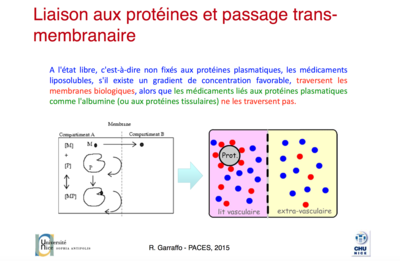 Capture d’écran 2018-04-03 à 19.14.12.png