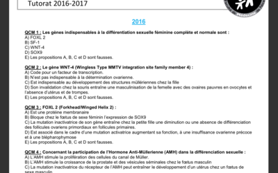 Capture d’écran 2018-04-07 à 08.21.56.png