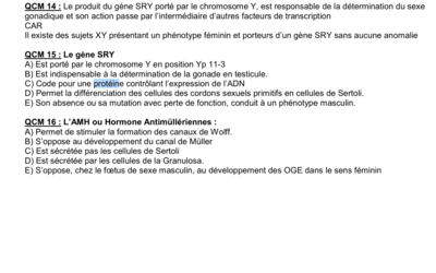 Capture d’écran 2018-04-07 à 08.25.29.png