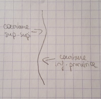 dessin courbures radius.jpg