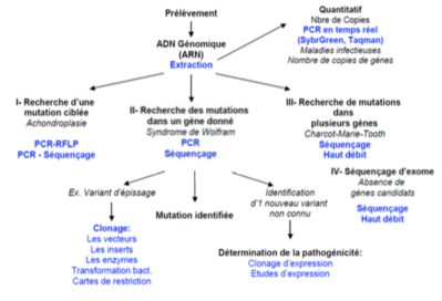 Capture d’écran 2018-04-07 à 21.26.42.png