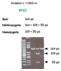 Capture d’écran 2018-04-07 à 21.55.26.png