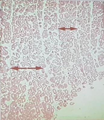 Capture d’écran 2018-04-09'.png