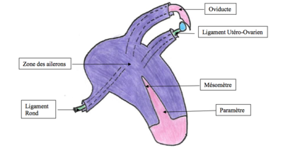 Capture d’écran 2018-04-19 à 20.35.31.png