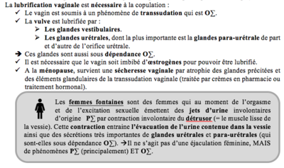 Capture d’écran 2018-04-22 à 18.19.29.png