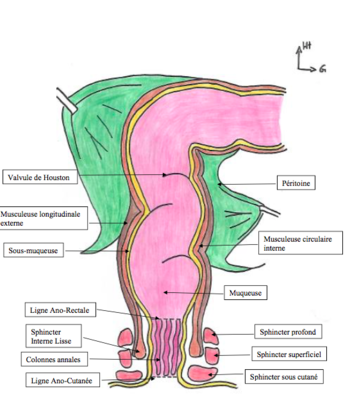 Capture d’écran 2018-04-26 à 00.14.17.png