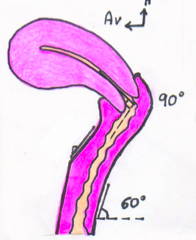 Capture d’écran 2018-04-26 à 01.56.30.png
