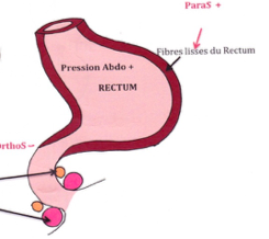 Capture d’écran 2018-04-26 à 01.58.03.png
