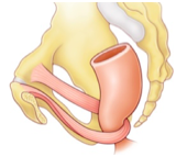 Capture d’écran 2018-04-26 à 01.57.10.png