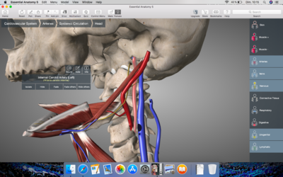 Capture d’écran 2018-04-29 à 10.15.53.png