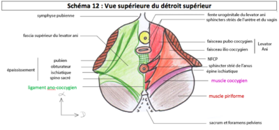 Capture d’écran 2018-04-29 à 14.34.57.png