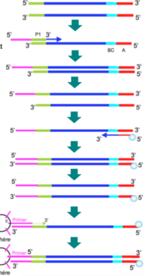 Capture d’écran 2018-05-01 à 16.06.17.png