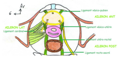 Capture d’écran 2018-05-01 à 23.51.31.png