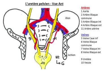 Capture d’écran 2018-05-06 à 18.40.56.png