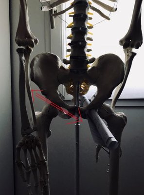 Foramen obturé 1.JPG