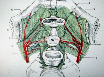 Capture d’écran 2018-05-11 à 20.17.03.png