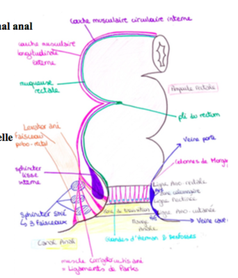 Capture d’écran 2018-05-11 à 21.09.00.png