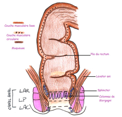 Capture d’écran 2018-05-11 à 21.10.07.png