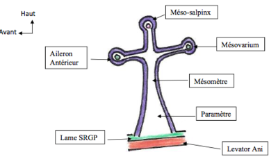 Capture d’écran 2018-05-14 à 20.32.20.png