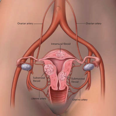 Capture d’écran 2018-05-14 à 22.46.01.png