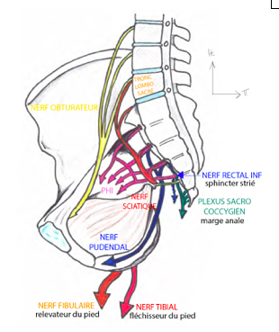 Capture d’écran 2018-05-16 à 12.14.25.png