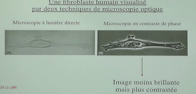 Capture d’écran 2018-08-16 à 17.51.26.png