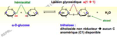 Capture d’écran 2018-08-08 à 13.01.40.png