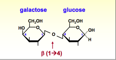 Capture d’écran 2018-08-12 à 23.24.28.png