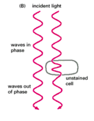 Capture d’écran 2018-08-22 à 20.38.54.png