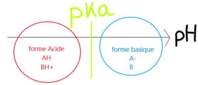 acide-base shema.png