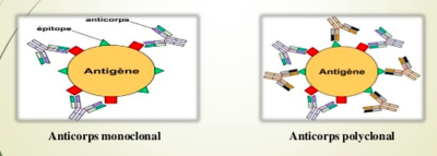 Capture d’écran 2018-08-25 à 01.29.45.png