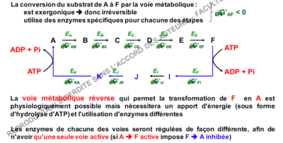 Capture d’écran 2018-08-28 à 19.57.34.png