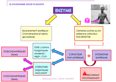 Capture d’écran 2018-09-03 à 15.13.26.png
