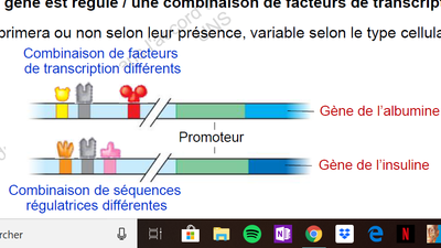 Question Biomol D.png
