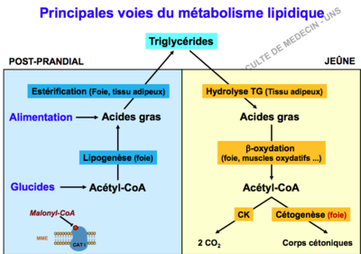 Capture d’écran 2018-09-04 à 15.49.03.png