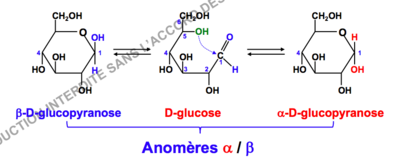 Capture d’écran 2018-08-12 à 14.16.44.png