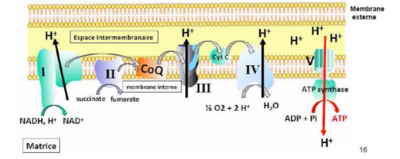 Capture d’écran 2018-08-30 à 21.44.29.png