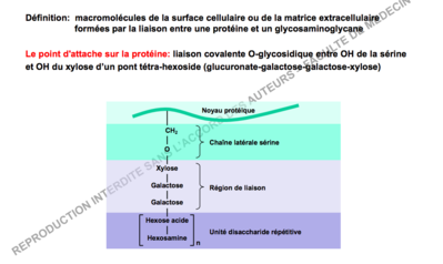 Capture d’écran 2018-09-08 à 17.58.18.png
