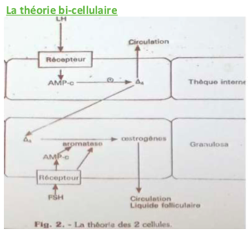 Capture d’écran 2018-09-09 à 13.21.43.png