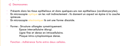Capture d’écran 2018-09-09 à 22.09.38.png