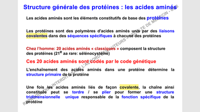 peptidique covalente.png