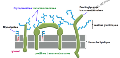 Capture d’écran 2018-08-13 à 00.18.02.png