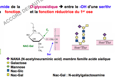 Capture d’écran 2018-08-13 à 00.47.19.png