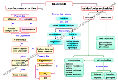 Capture d’écran 2018-09-13 à 20.38.20.png