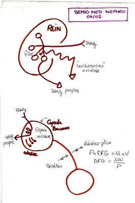 schema semio med.jpg