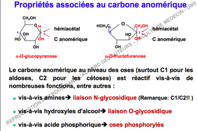 Capture d’écran 2018-09-19 à 16.15.46.png