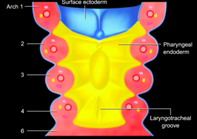 Capture d’écran 2018-09-15 à 16.39.04.png
